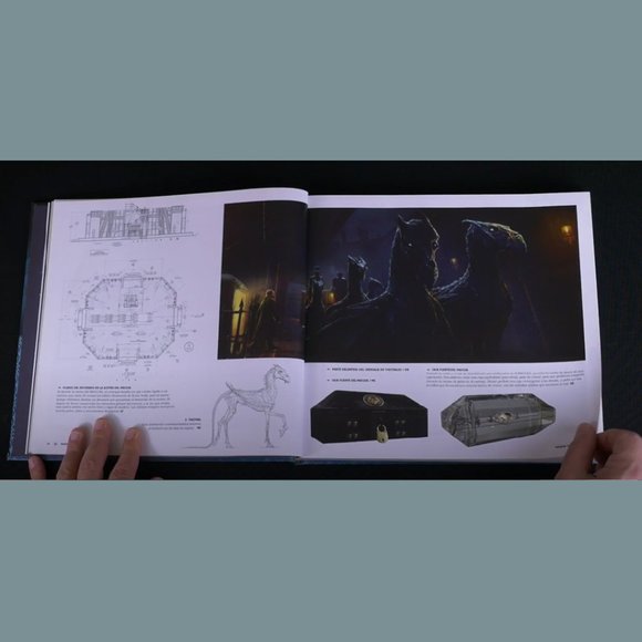 Grindelwald Art | El arte de los Crímenes de Grindelwald Spanish edition - Picture 8 of 17